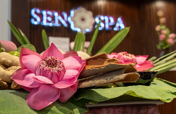 Sen Spa - massage hàn quốc ở tphcm