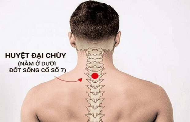 Huyệt Đại Chuỳ nằm ở đốt phía trên của cột sống