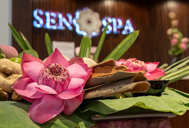 Thư giãn tại Sen Spa