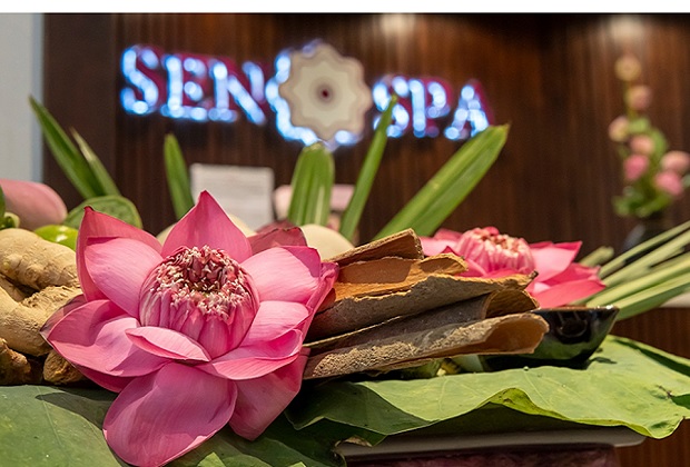 Massage nam - Sen Spa