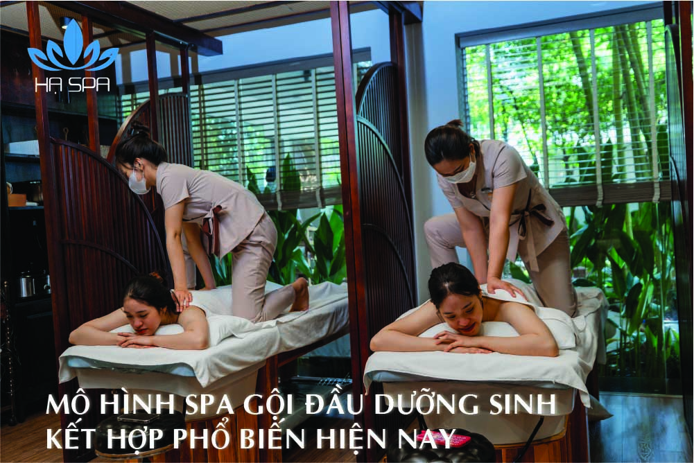 4 mo hinh pho bien