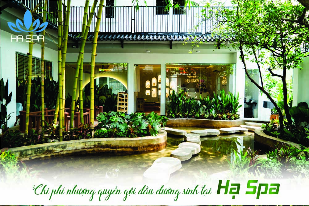 chi phi nhuong quyen goi dau duong sinh tai ha spa