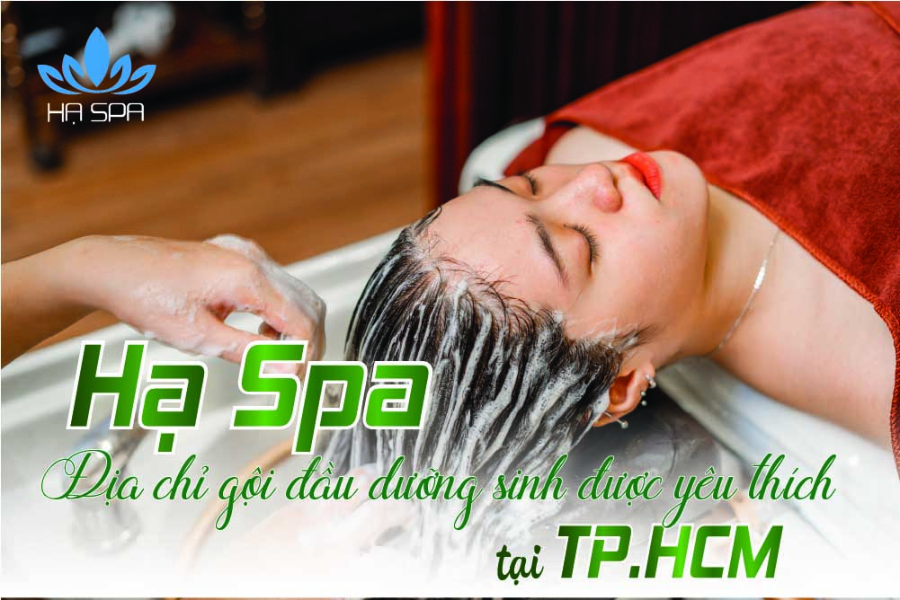 gioi thieu ha spa