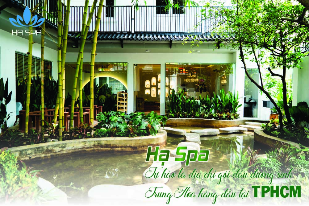 ha spa tu hao la dia chi goi dau duong sinh trung hoa hang dau