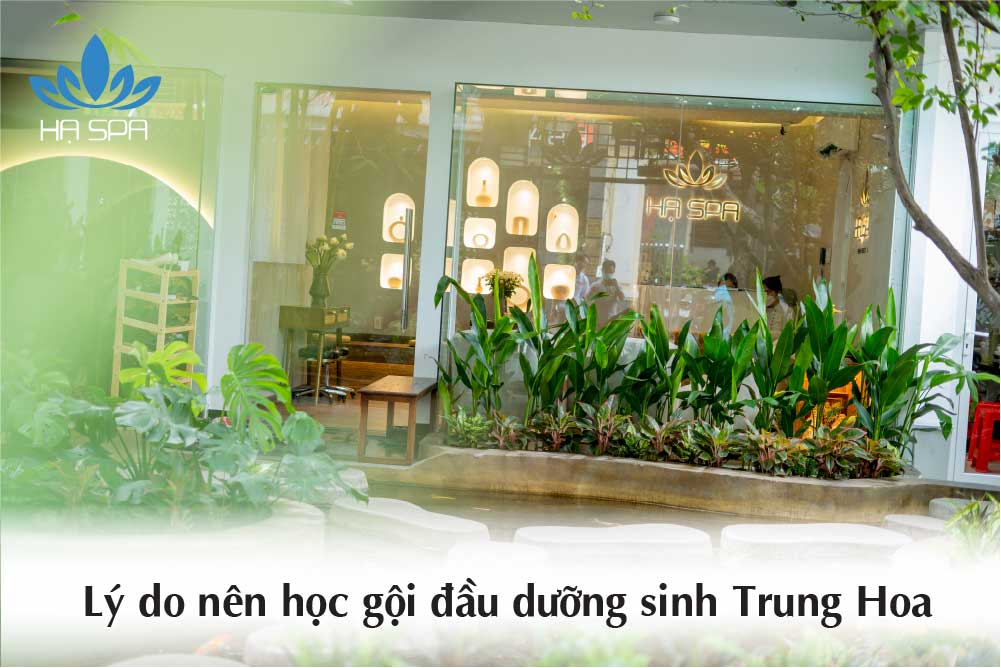 li do nen hoc goi dau duong sinh trung hoa