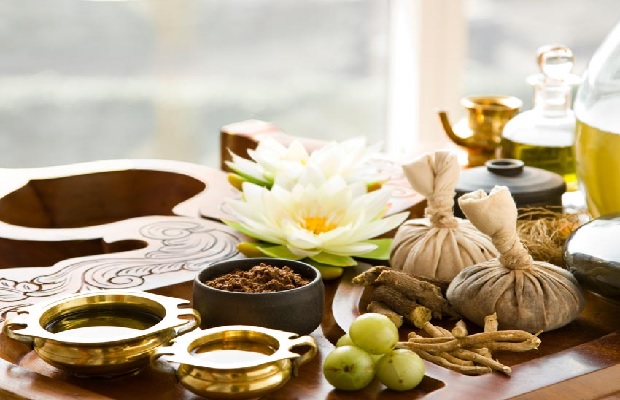 thảo mộc spa - massage khoe o tan binh