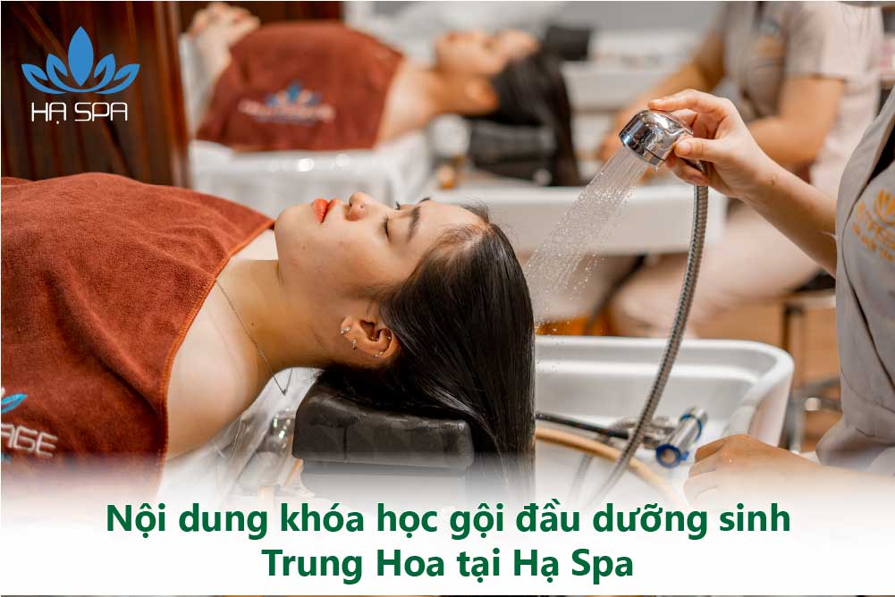 noi dung khoa hoc goi dau duong sinh trung hoa tai ha spa