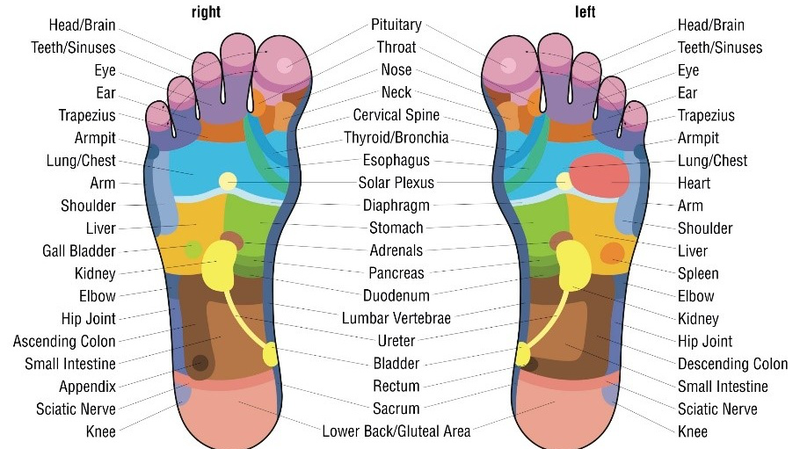 Massage Phản Xạ Học Trên Bàn Chân Kỹ thuật viên thực hiện massage phản xạ học trên bàn chân khách hàng
