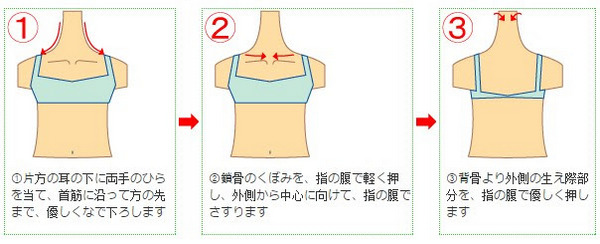 Massage Tsuboki Dầu Hoa Trà Tsubaki Massage Tsuboki dầu hoa trà Tsubaki massage da mặt và dẫn lưu bạch huyết